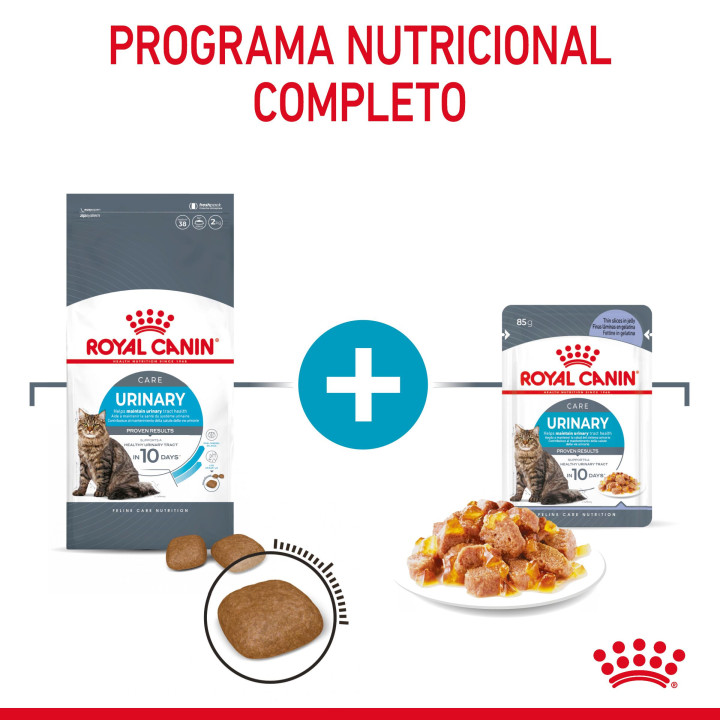 Royal Canin Urinary Care comida húmeda en gelatina para el cuidado urinario en gato adulto 