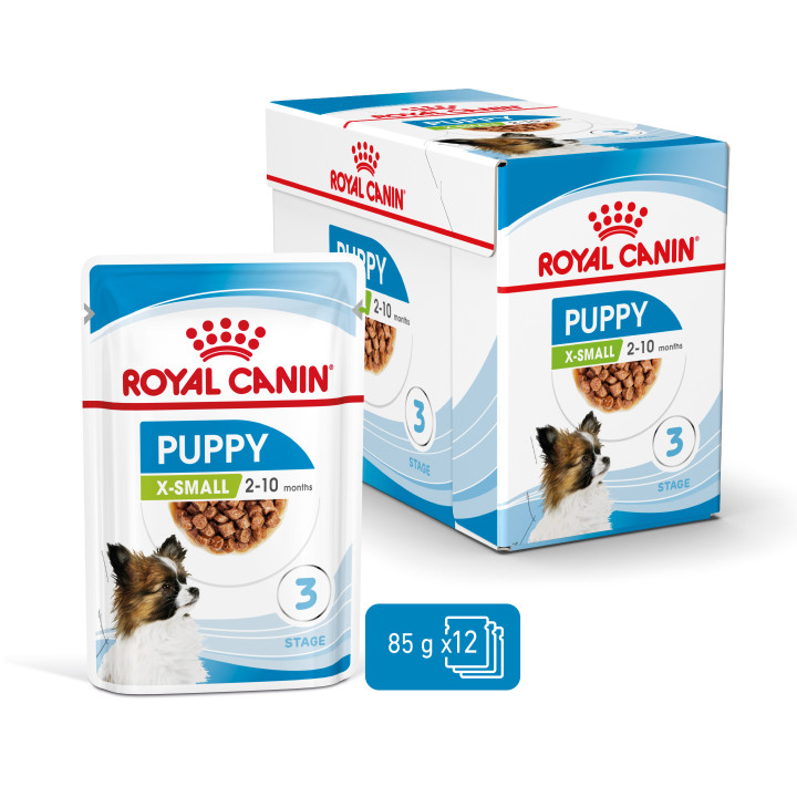 Royal Canin Mini Puppy comida húmeda para cachorro de razas tamaño miniatura