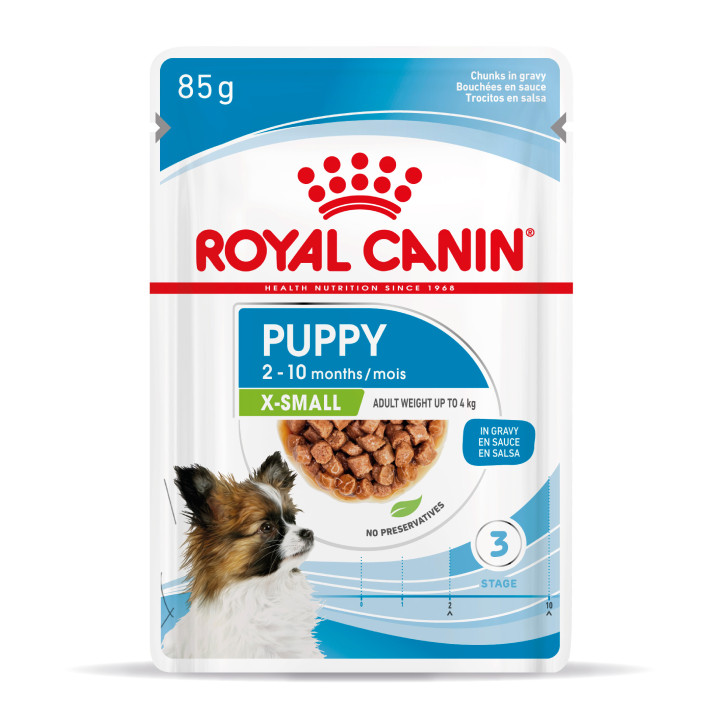 Royal Canin Mini Puppy comida húmeda para cachorro de razas tamaño miniatura
