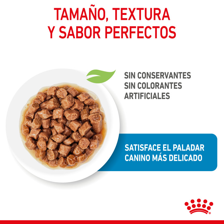 Royal Canin Mini Puppy comida húmeda para cachorro de razas tamaño miniatura
