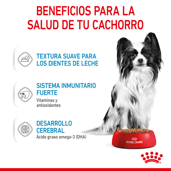 Royal Canin Mini Puppy comida húmeda para cachorro de razas tamaño miniatura