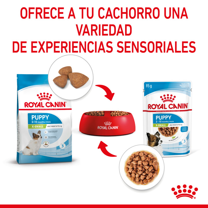 Royal Canin Mini Puppy comida húmeda para cachorro de razas tamaño miniatura