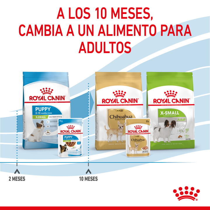 Royal Canin Mini Puppy comida húmeda para cachorro de razas tamaño miniatura
