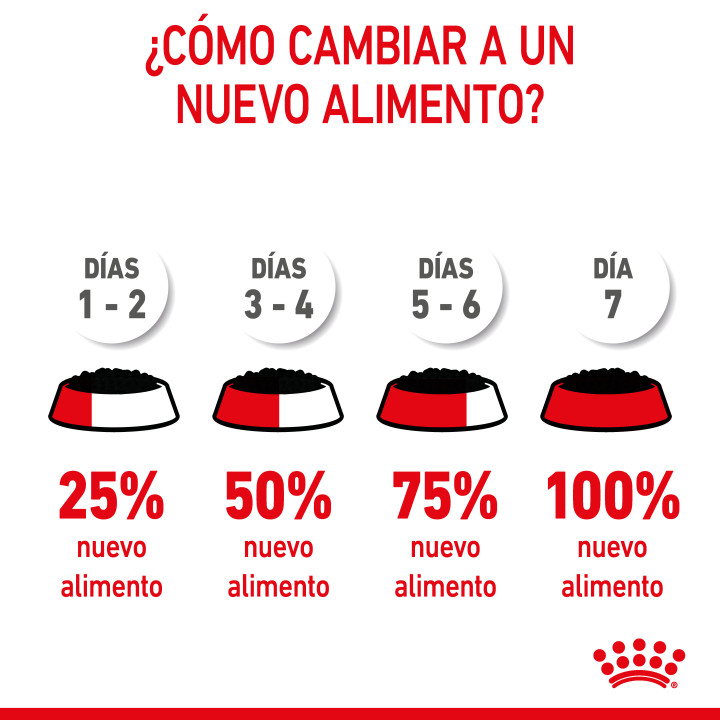 Royal Canin Mini Puppy comida húmeda para cachorro de razas tamaño miniatura