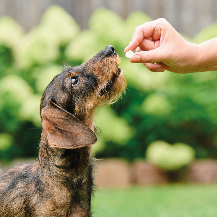 Beaphar Vermi Pure Antiparasitario interno para cachorros  - Kompymascotas