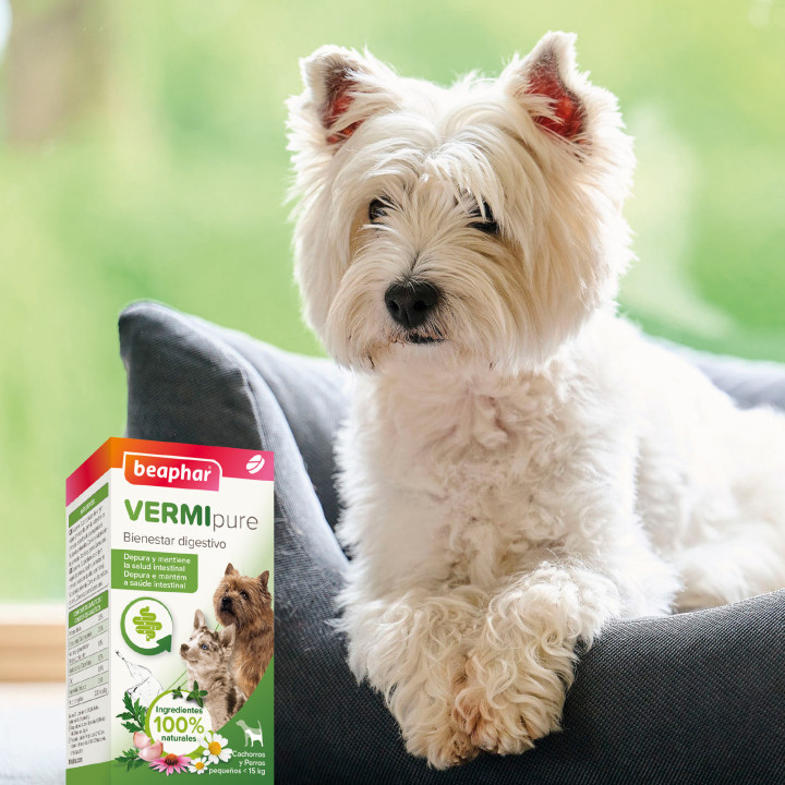 Beaphar Vermi Pure Antiparasitario interno para cachorros  - Kompymascotas