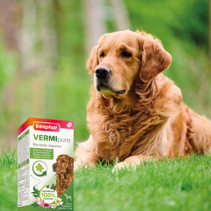 Beaphar Vermi Pure Antiparasitario interno para perros - Kompymascotas