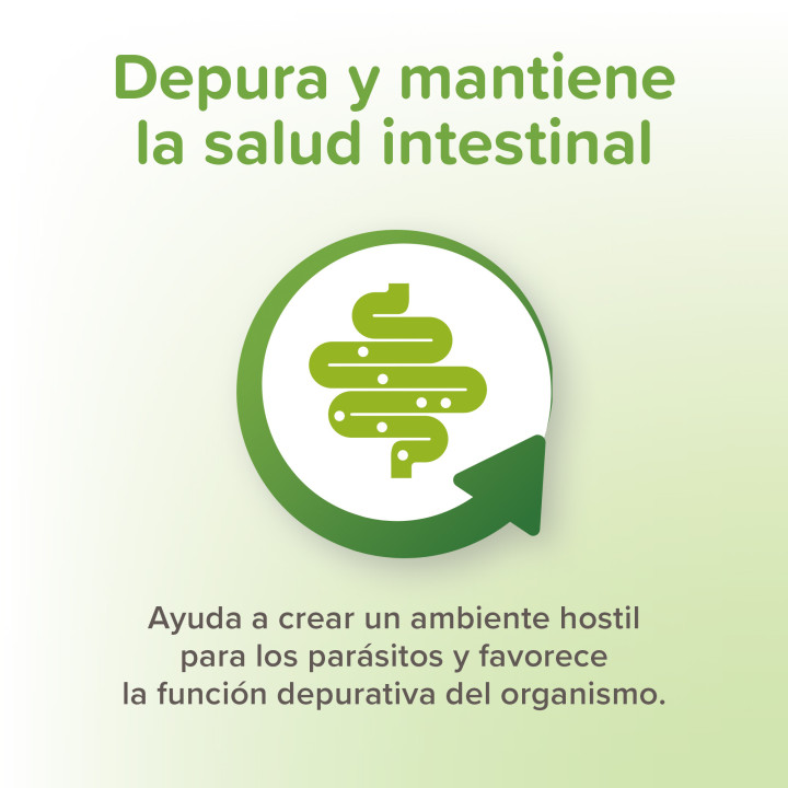 Vermi Pure Solución oral antiparasaitaria - PiensoyMascotas