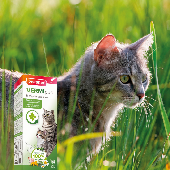 Vermi Pure Solución oral antiparasaitaria - PiensoyMascotas