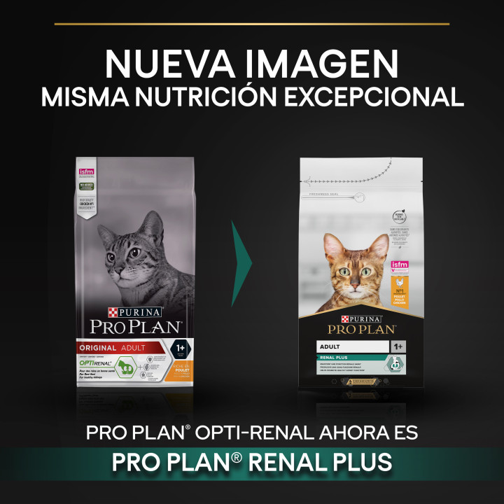 Purina Pro Plan Adult Gato Pollo Pienso para gatos - Kompymascotas