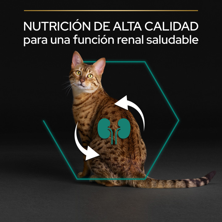 Purina Pro Plan Adult Gato Pollo Pienso para gatos - Kompymascotas