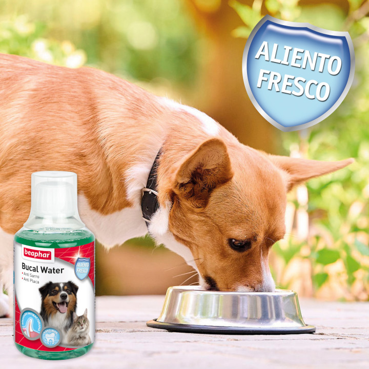 Beaphar Enjuague Bucal perros y gatos