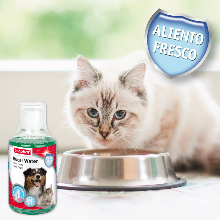 Beaphar Enjuague Bucal perros y gatos