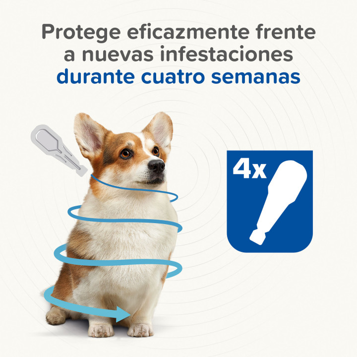 Pipetas Caniguard Duo para Perros