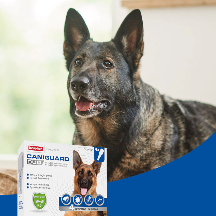 Pipetas Caniguard Duo para Perros