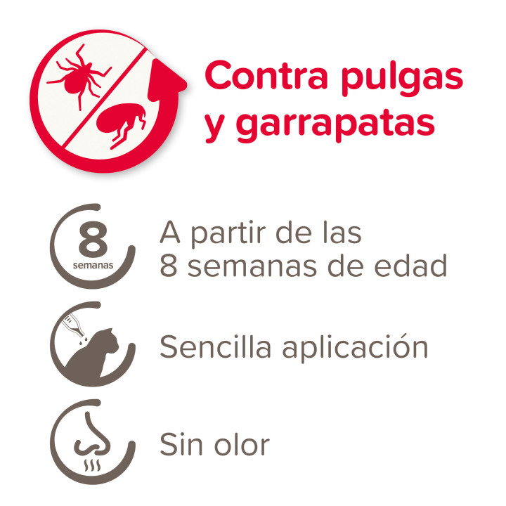 Pipetas Beaphar Fiprotec para Gatos - 4 Pipetas