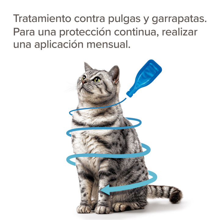 Pipetas Beaphar Fiprotec para Gatos - 4 Pipetas