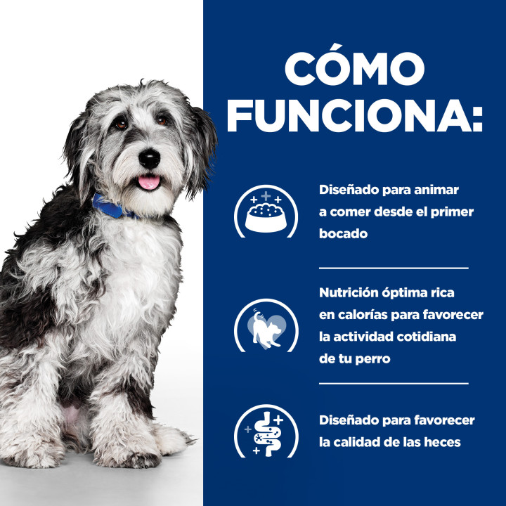 Hill's Prescription Diet ON-Care alimento seco para perros con pollo 