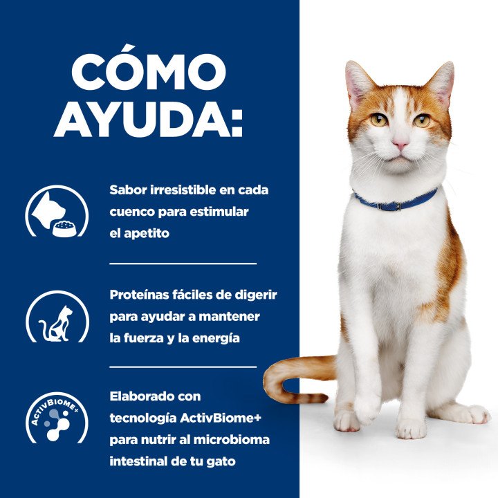 Hill's Prescription Diet On-Care alimento seco para gatos con pollo