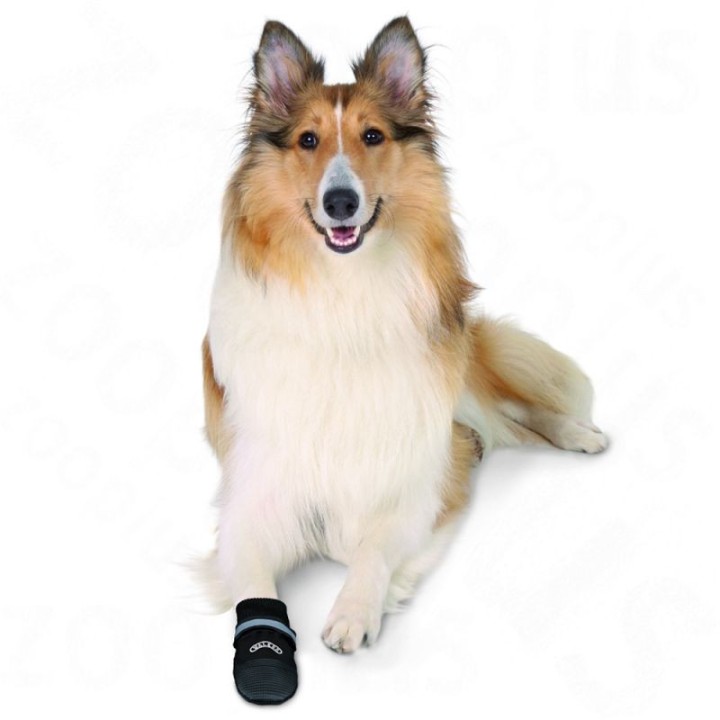 Botas Walker Care Confort, Ropa para perros