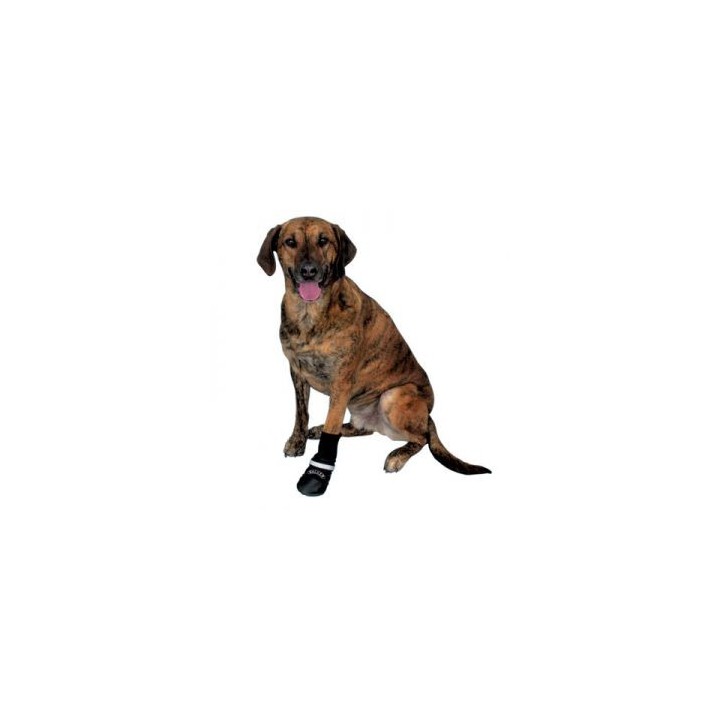 Botas Walker Care Confort, Ropa para perros