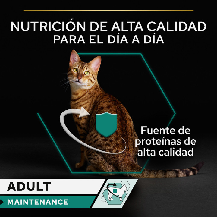 Purina Pro Plan Gato Lata Adulto Maintenance Terrina rico en pollo
