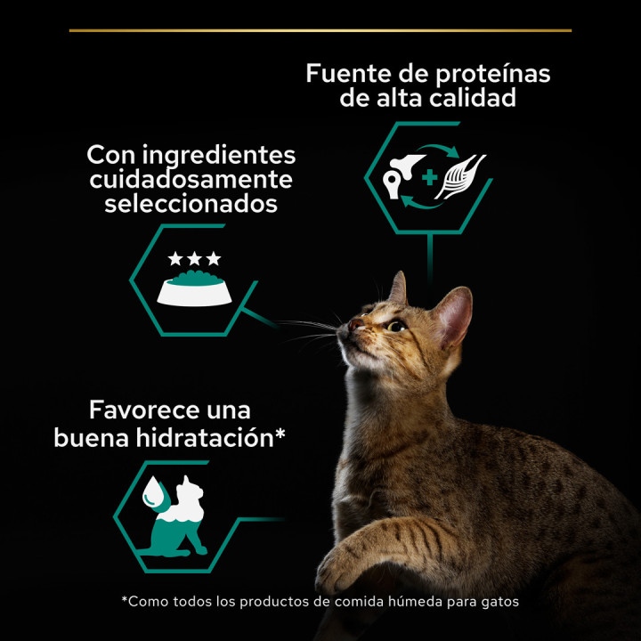 Purina Pro Plan Gato Lata Adulto Maintenance Terrina rico en pollo