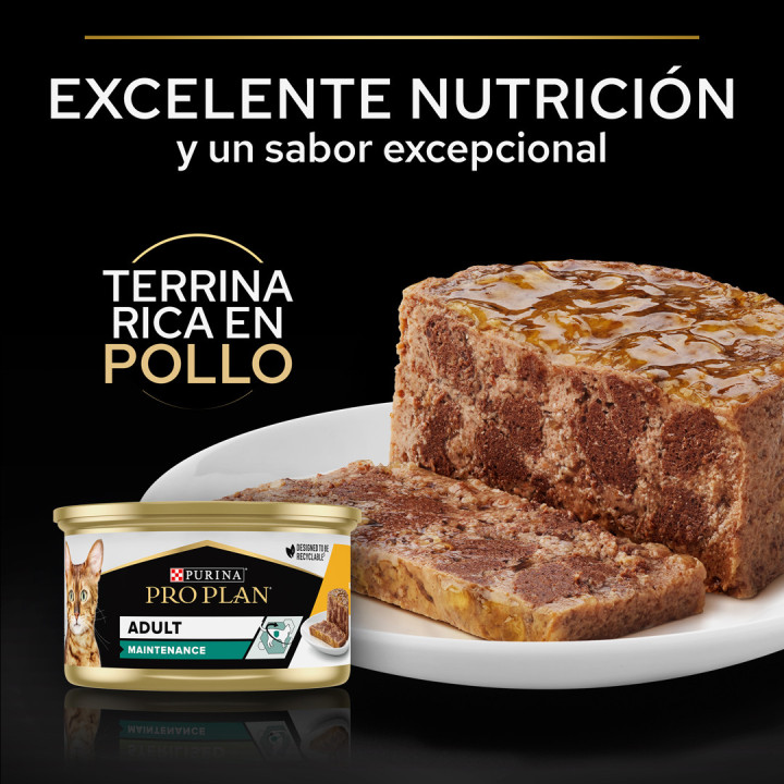 Purina Pro Plan Gato Lata Adulto Maintenance Terrina rico en pollo
