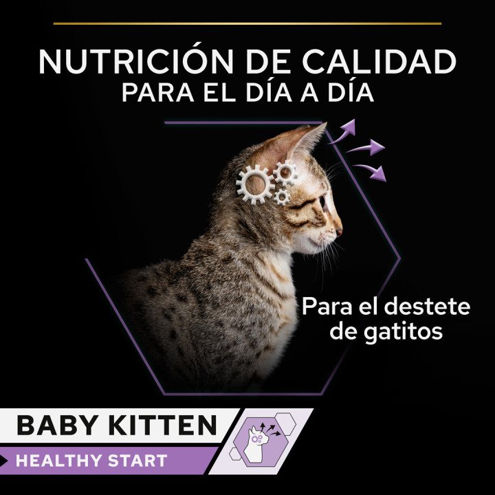 Purina Pro Plan Baby Kitten Comida Húmeda para gatitos