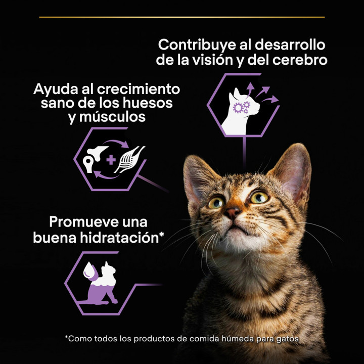 Purina Pro Plan Baby Kitten Comida Húmeda para gatitos