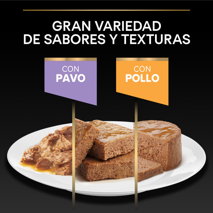 Purina Pro Plan Baby Kitten Comida Húmeda para gatitos