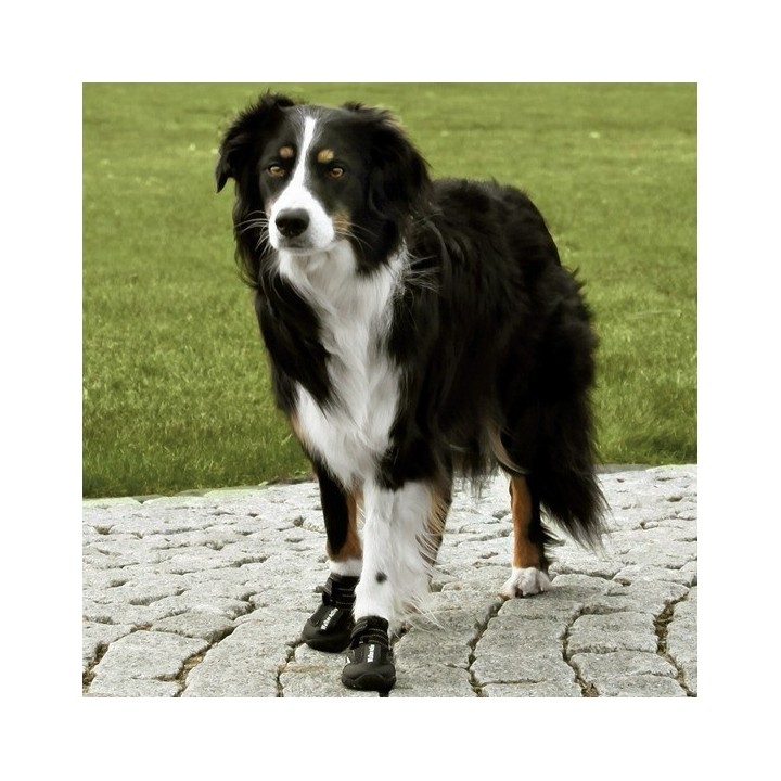 Botas para perros Walker Active, Ropa para perros