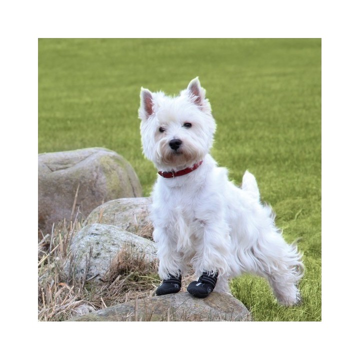Botas para perros Walker Active, Ropa para perros