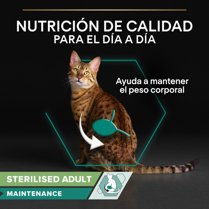 Purina Pro Plan Gato Adulto Sterilised Maintenance con pollo y buey en salsa