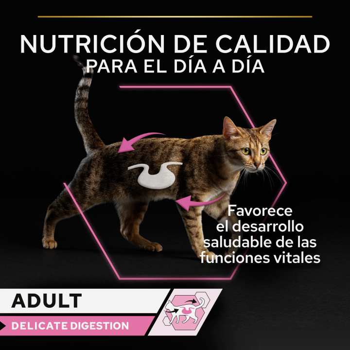 Purina Pro Plan Adulto Delicate Digestion con pavo y pescado del océano en salsa