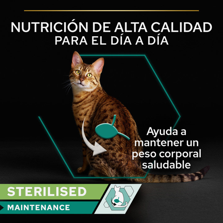 Purina Pro Plan Gato Adulto Lata Sterilised Maintenance Terrina con atún y salmón