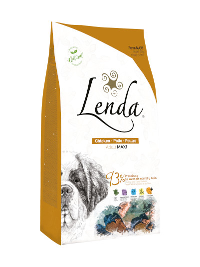 Lenda perro