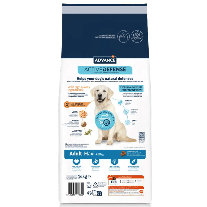 Advance Maxi Adult Chicken & Rice Pienso para perros - Kompymascotas