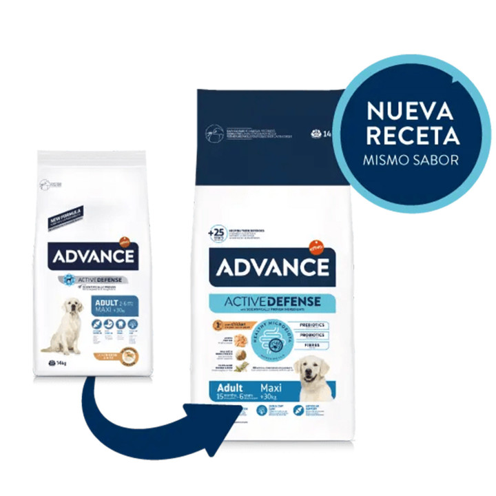 Advance Maxi Adult Chicken & Rice Pienso para perros - Kompymascotas