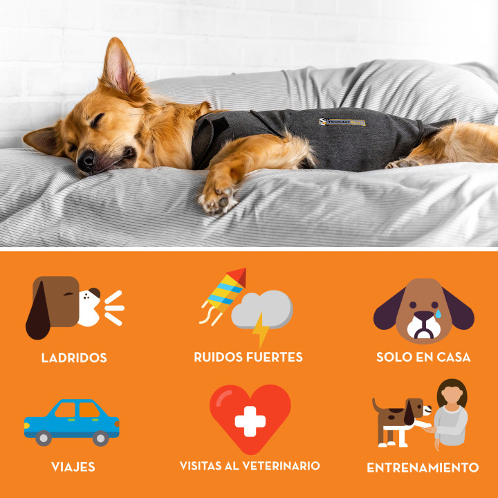 ThunderShirt para perros