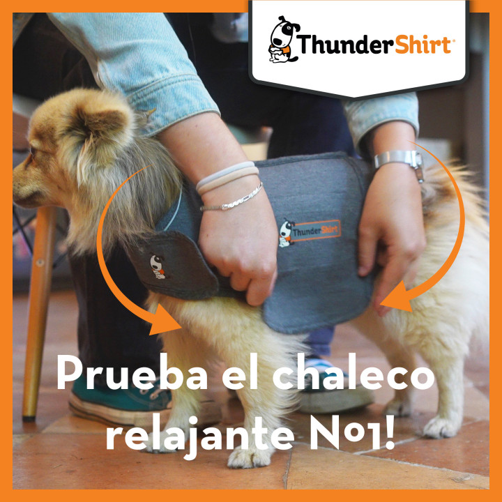 ThunderShirt para perros