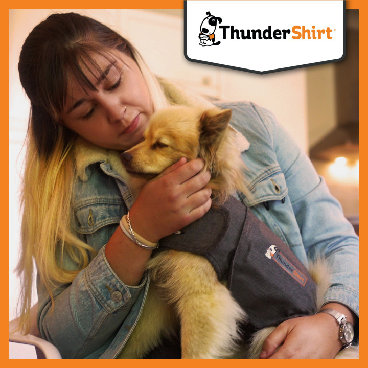 ThunderShirt para perros