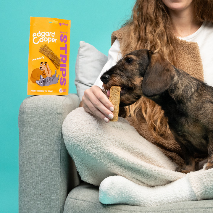 Tiras para Mimar de Cordero y Pavo | Premios para perros | Edgard &