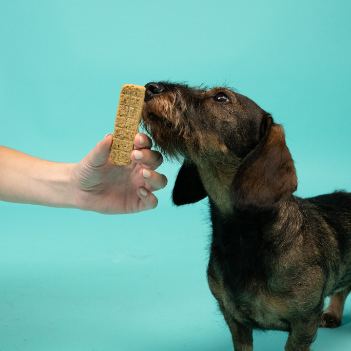 Tiras para Mimar de Cordero y Pavo | Premios para perros | Edgard &