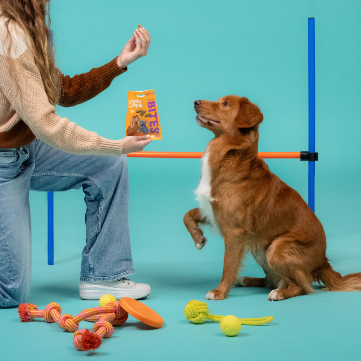Bocaditos para Campeones de Salmón y Pollo | Premios para perros | 