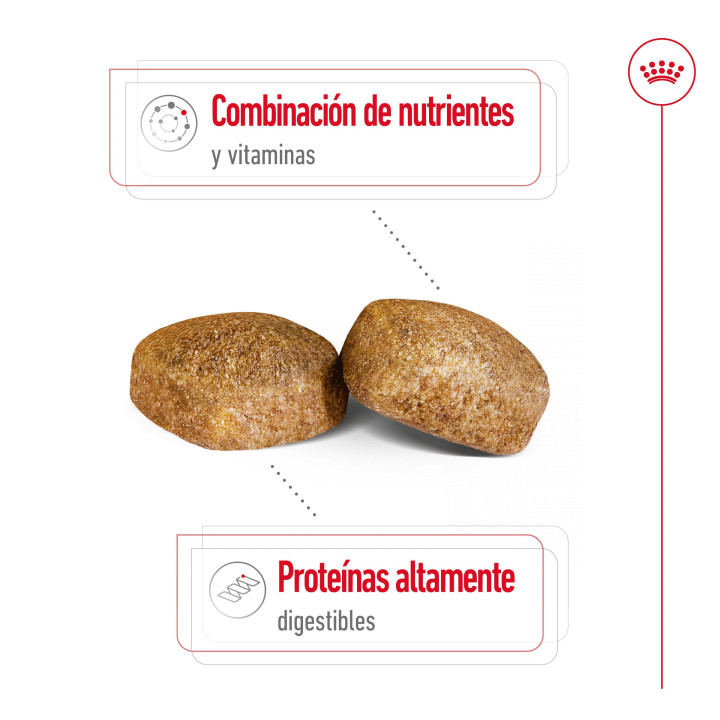 Royal Canin Giant Adult Pienso para perros - Kompymascotas
