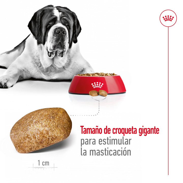 Royal Canin Giant Adult Pienso para perros - Kompymascotas