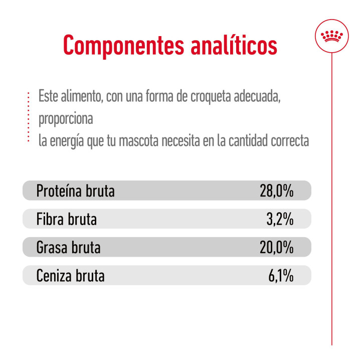Royal Canin Giant Adult Pienso para perros - Kompymascotas