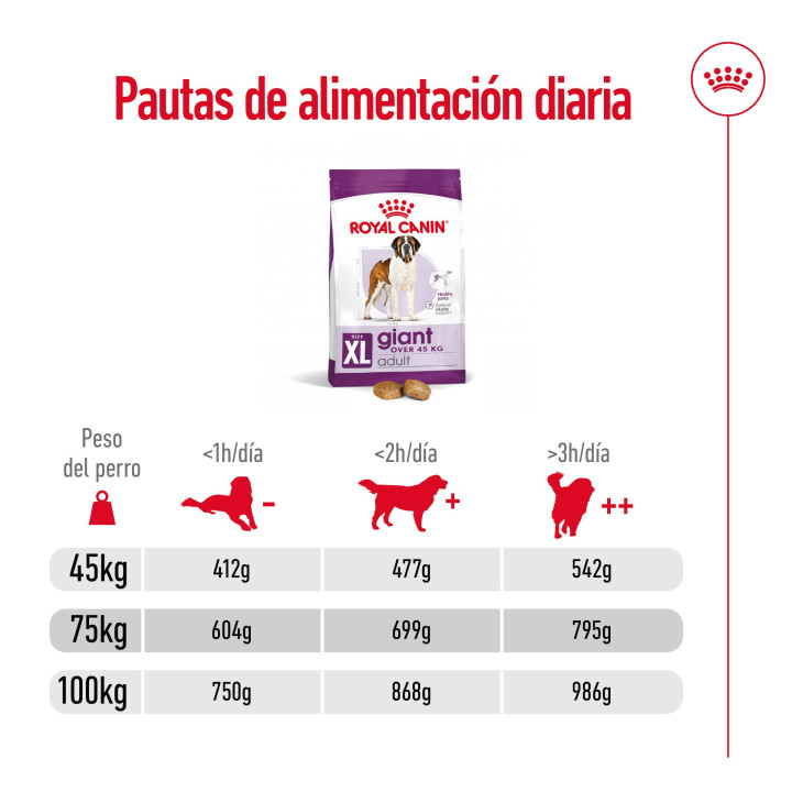 Royal Canin Giant Adult Pienso para perros - Kompymascotas