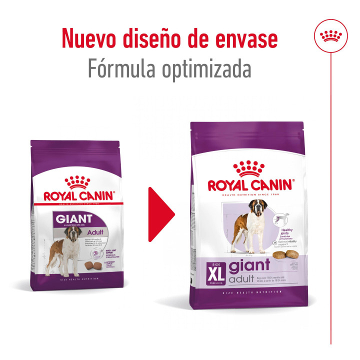 Royal Canin Giant Adult Pienso para perros - Kompymascotas